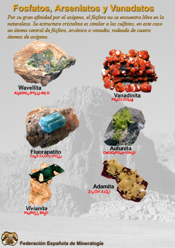 Carteles de la Federación Española de Mineralogía. Clasificación de los minerales según Nickel-Strunz. Fosfatos, Arsen iatos y Vanadatos. Clase VII